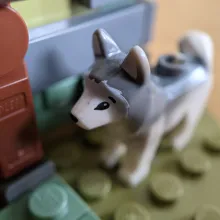 MOC - Husky