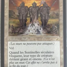 #001 - Sentinelles séculaires