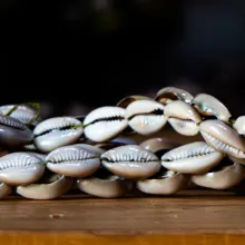 Bracelet de cauris