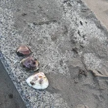 Trio de la plage de Nice