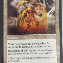#016 - Lumière dorée