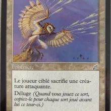 #025 - Échardes d'ailes