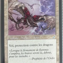 #011 - Pisteur de dragon
