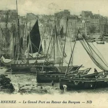 Douarnenez - Chaloupes au mouillage