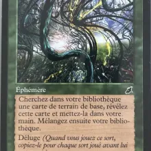 #128 - Vignes bourgeonnantes