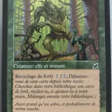 #132 - Vigile de Brinbois