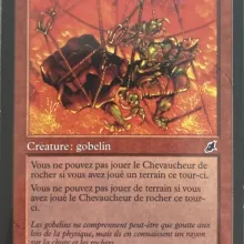 #101 - Chevaucheur de rocher