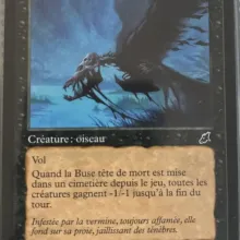#063 - Buse tête de mort