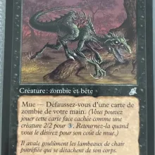 #071 - Raptor putride