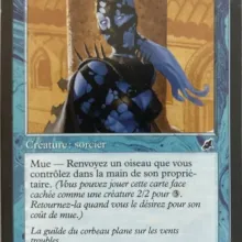 #046 - Adepte de la guilde du corbeau