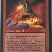 #084 - Couguar cendredent