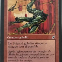 #094 - Brigand gobelin