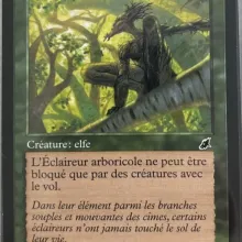 #130 - Éclaireur arboricole