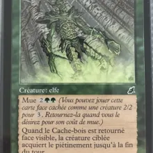 #134 - Cache-bois