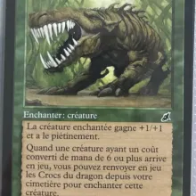 #117 - Crocs du dragon