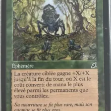 #109 - Mutation accélérée