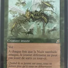 #135 - Nuée xanthide