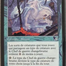 #043 - Chef de guerre changebrume