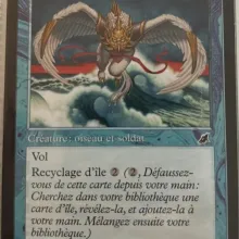 #051 - Ranger des côtes