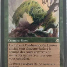 #112 - Limon ancien
