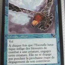 #039 - Escoufle lunatique